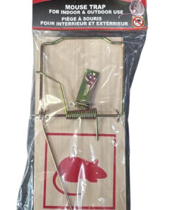 WOODEN MOUSE TRAP (PACK OF 12)